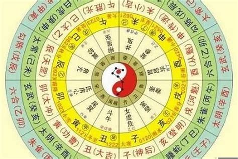 十二生肖五行對照表|生肖属相五行对照表 十二生肖与五行对照表